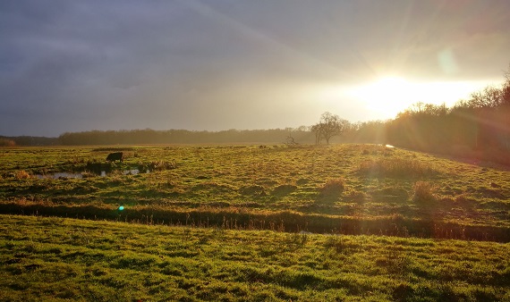 Extra geld voor natuur en verduurzaming landbouw